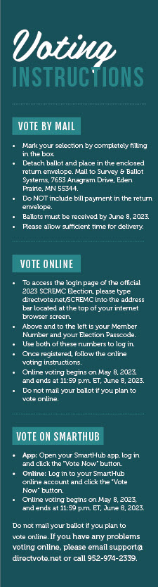 Voting Instructions
