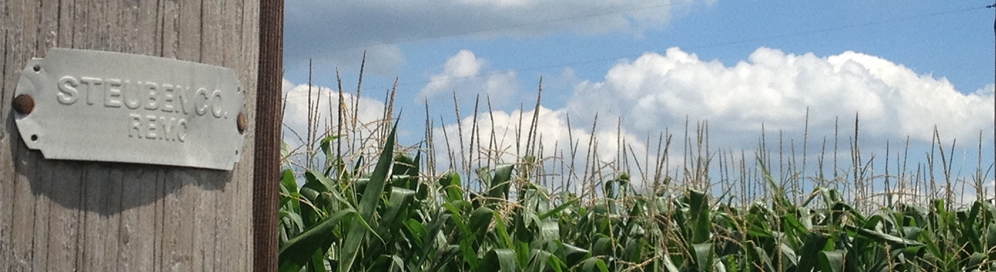 Steuben County REMC Labeled Pole by a corn field